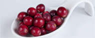 Femicore ingredient